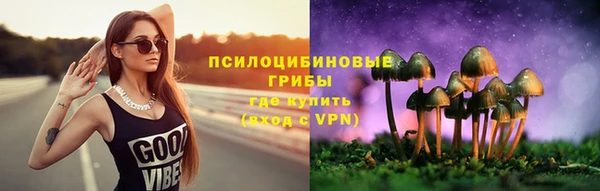 прущий лед Алексин