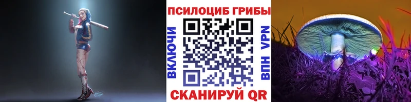 Галлюциногенные грибы мухоморы  Павловская 